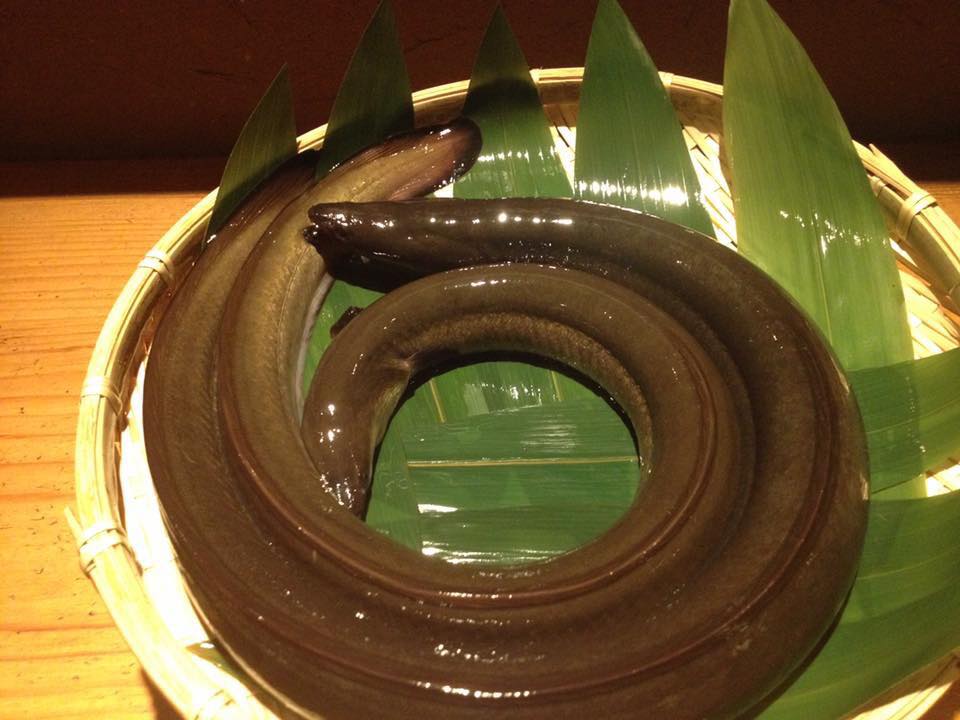 魚魯魚魯　天然うなぎ