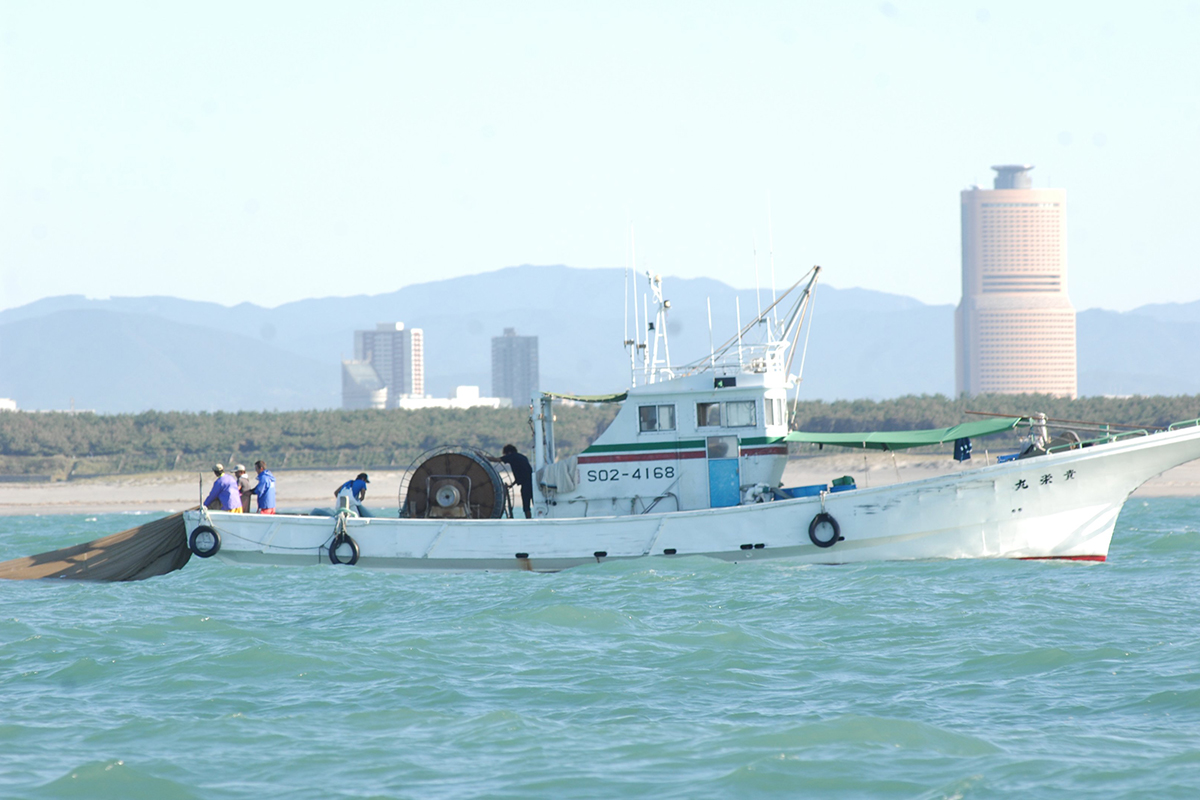 魚魯魚魯 旬の食材 遠州灘 生しらす漁