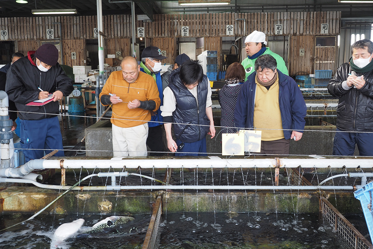 魚魯魚魯 旬の食材 とらふぐ セリ